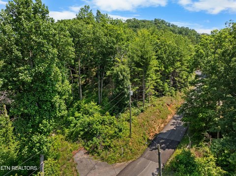 Sevierville Wooded Lot with Mountain Views