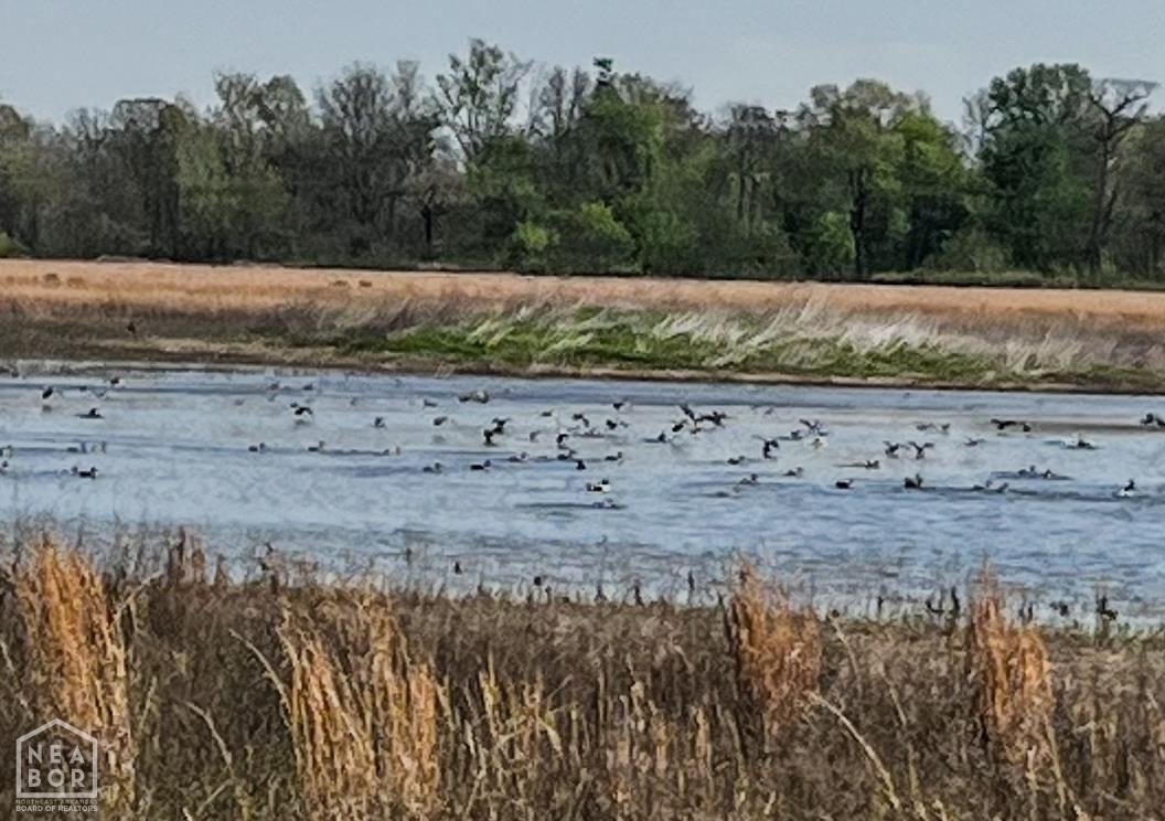Arkansas Black River Acreage