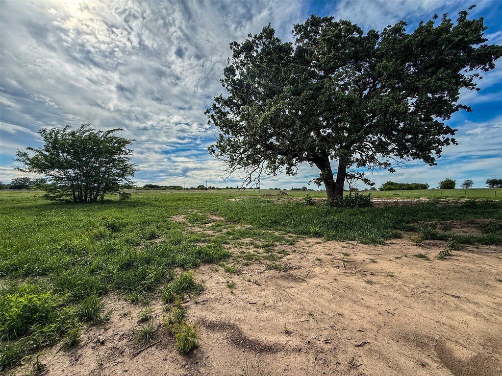 Picture 38