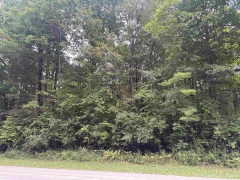 VACANT LAND, Clyde, MI