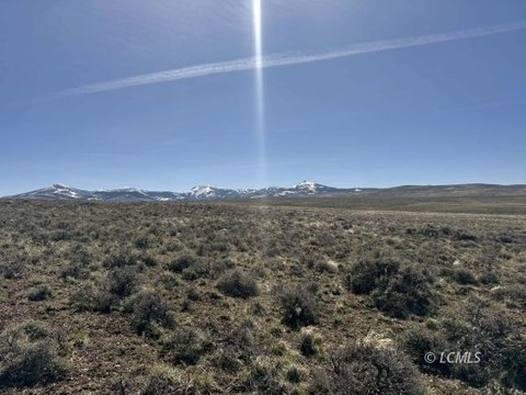 40 Acres Near McDowell Creek