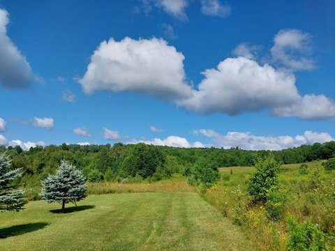 Recreational Land with Road Frontage