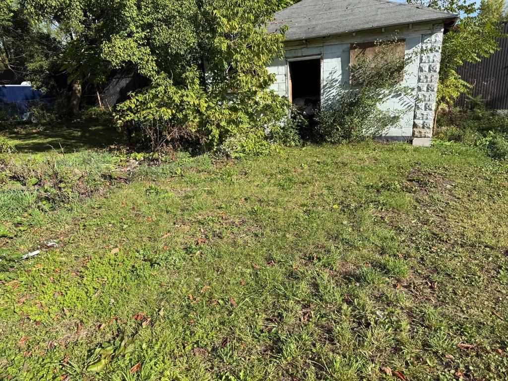 Picture 4