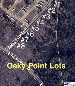 Residential Lot in Latta, SC