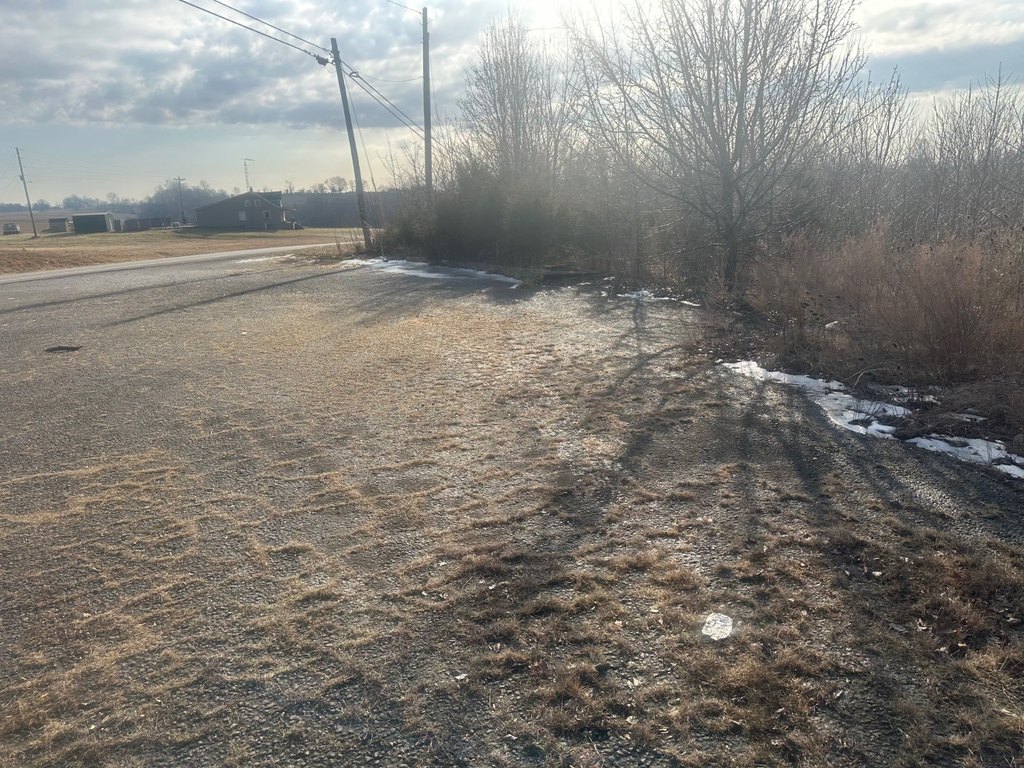 Picture 3
