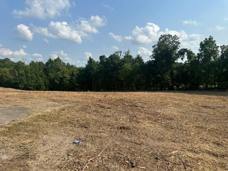 Picture 14