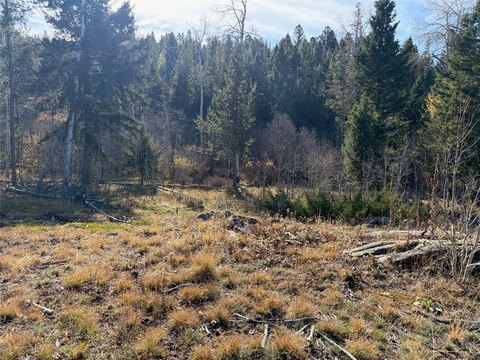 Land, Deer Lodge, MT