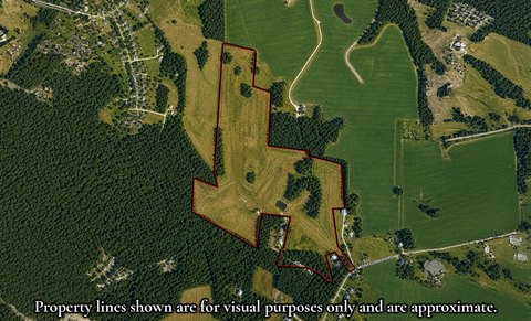 215 Acres of Farmland