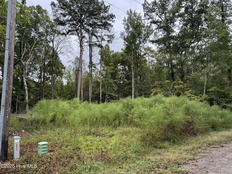 Land, Blounts Creek, NC