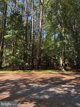 Land, GREENBACKVILLE, VA