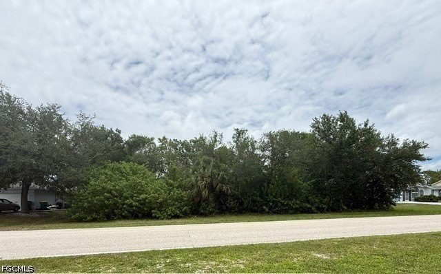 Picture 5