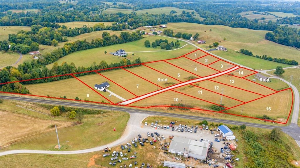 Picture 24