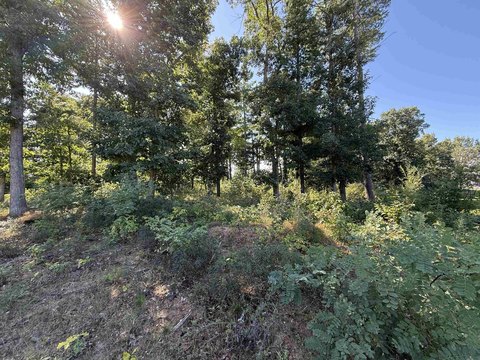 Land, Stevens Point, WI
