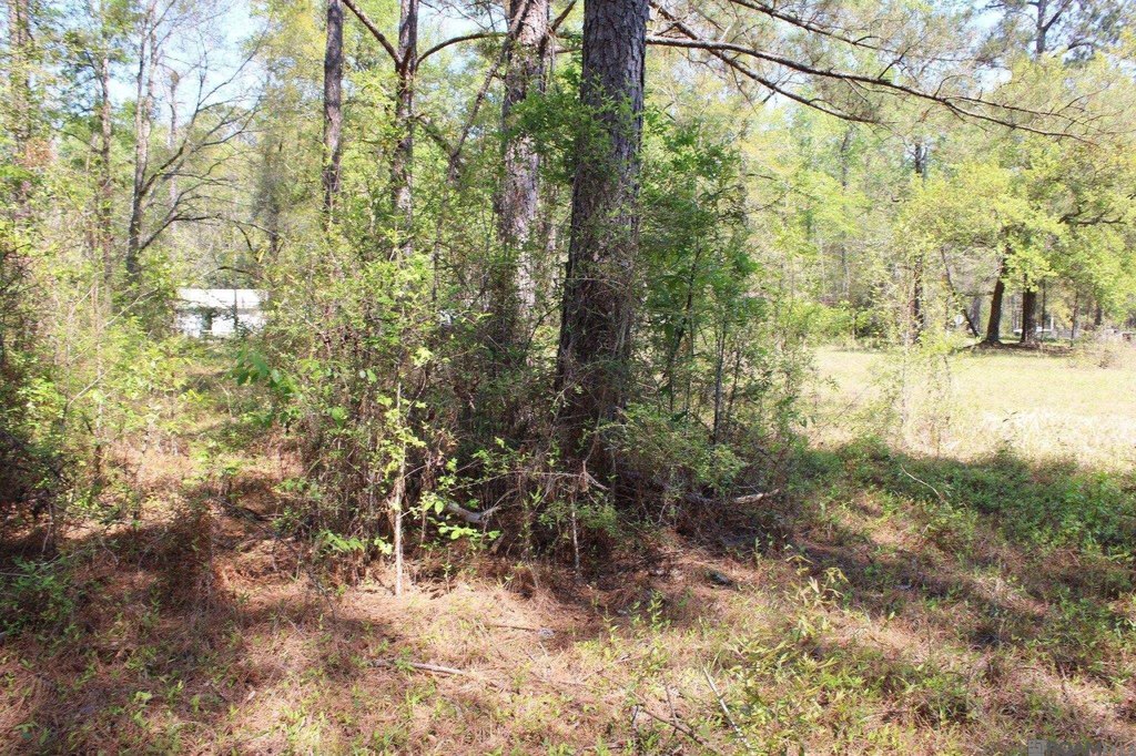 Picture 13