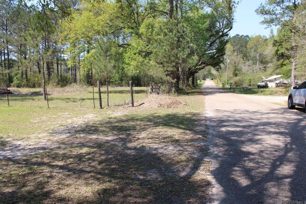 Picture 16