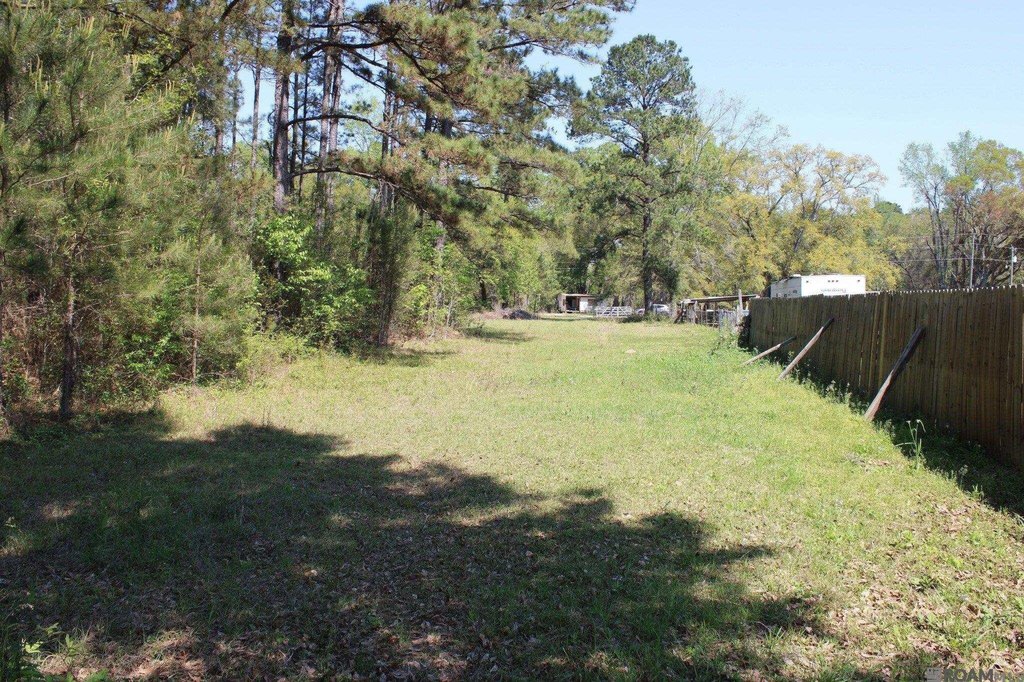 Picture 11