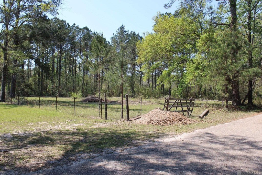 Picture 15