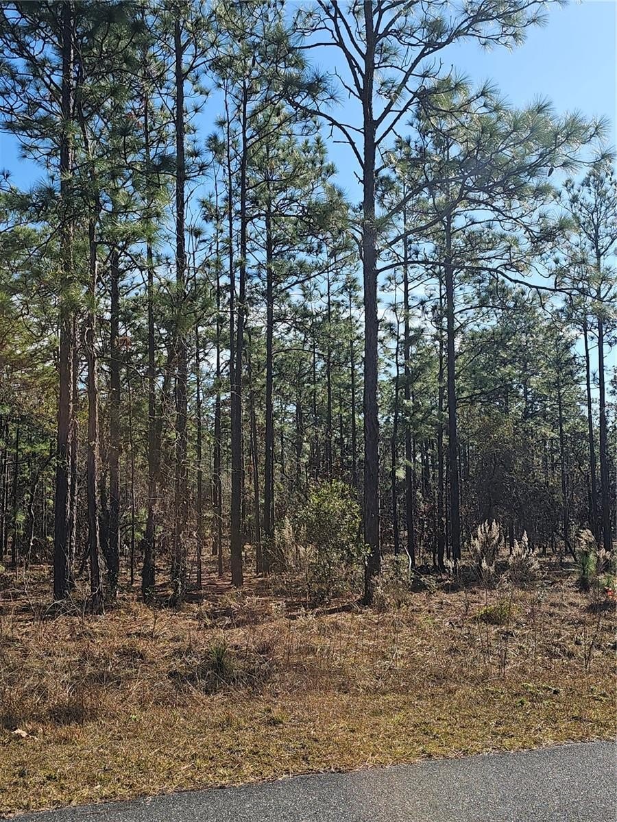 One Acre Homesite Opportunity