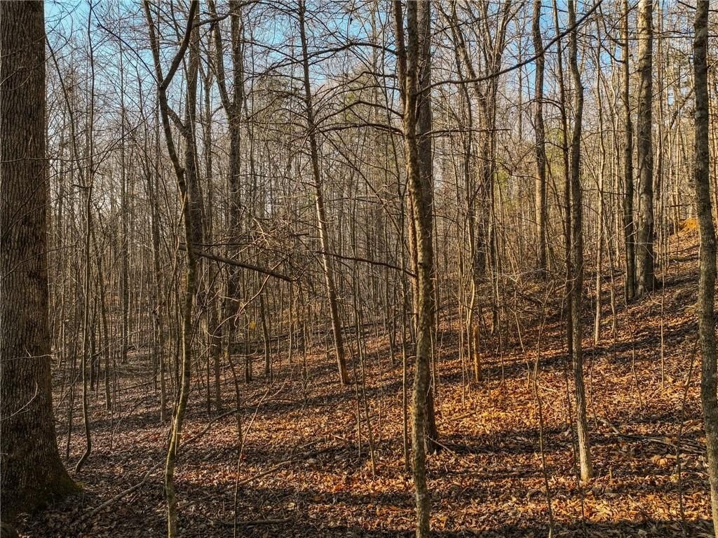 Mountain View Estate Lot