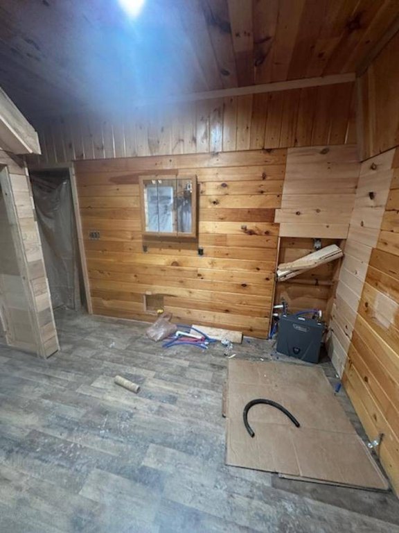 Picture 19