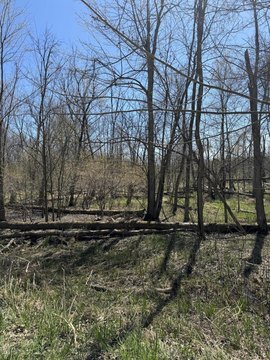 Grand Junction Land with Creek