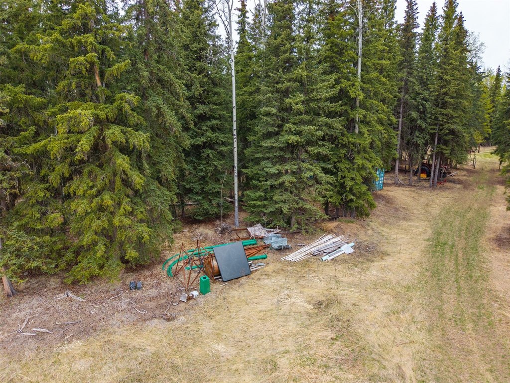 Picture 5