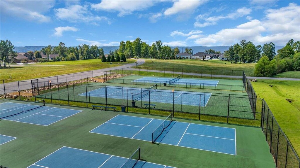 Picture 16