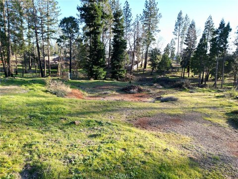 Scenic Vacant Lot in Magalia