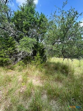 LAND - Fischer, TX