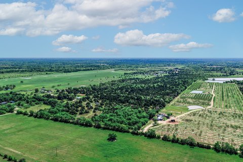 Acreage with Pond and Road Frontage