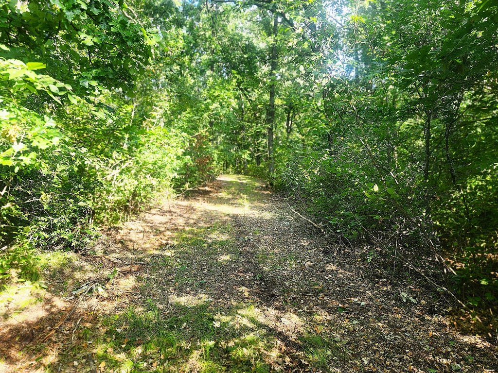 Picture 29