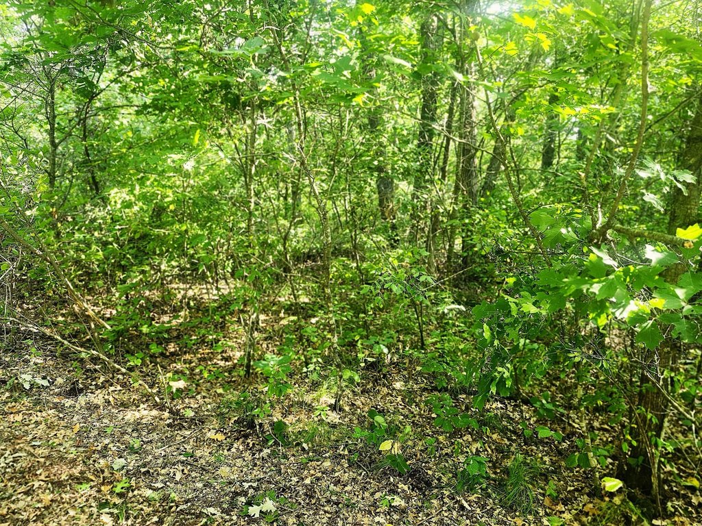 Picture 30