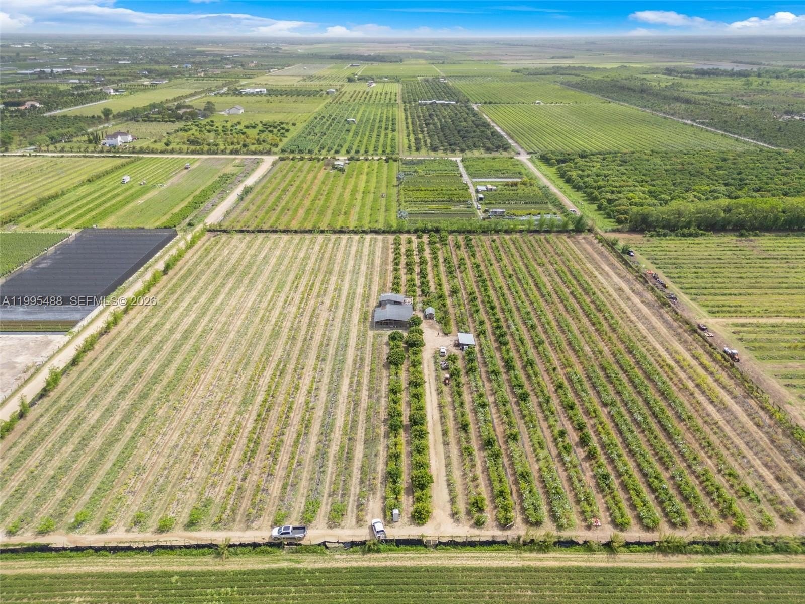 Miami Land with Fruit Grove