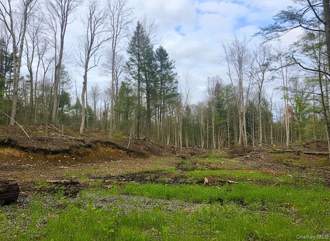 Adirondack Land Near Lakes