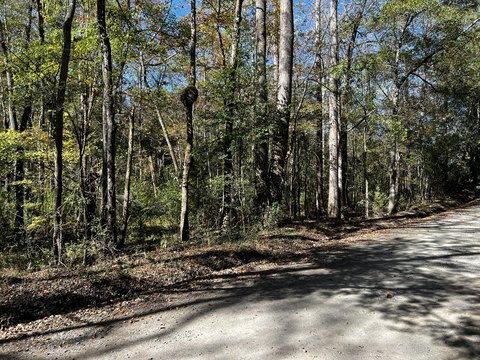 Spacious Wooded Lot in Moncks Corner