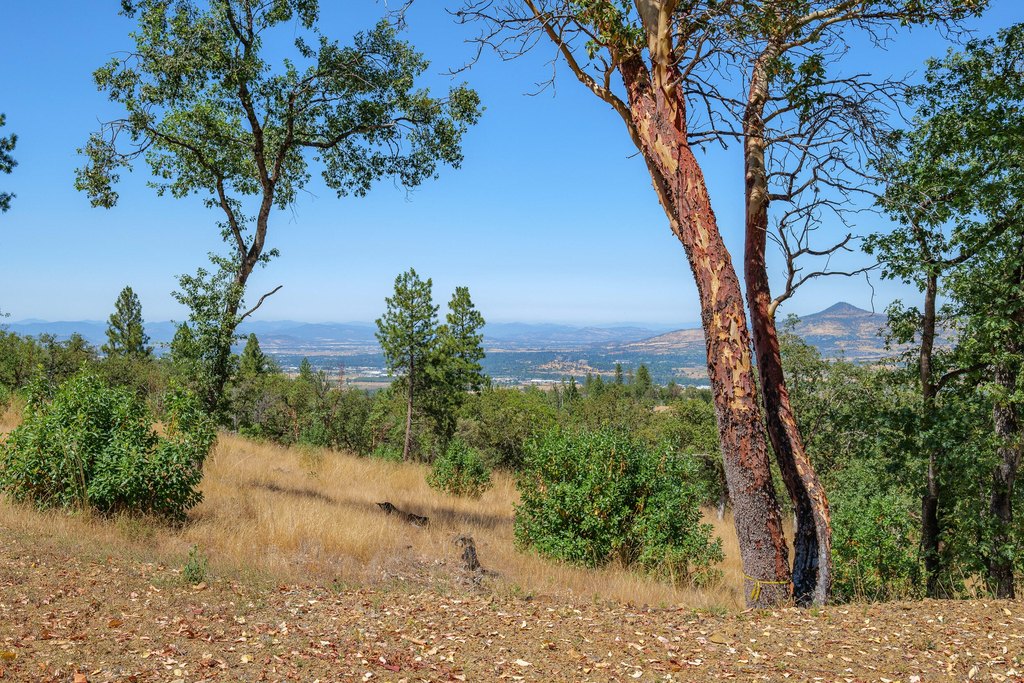 Picture 22