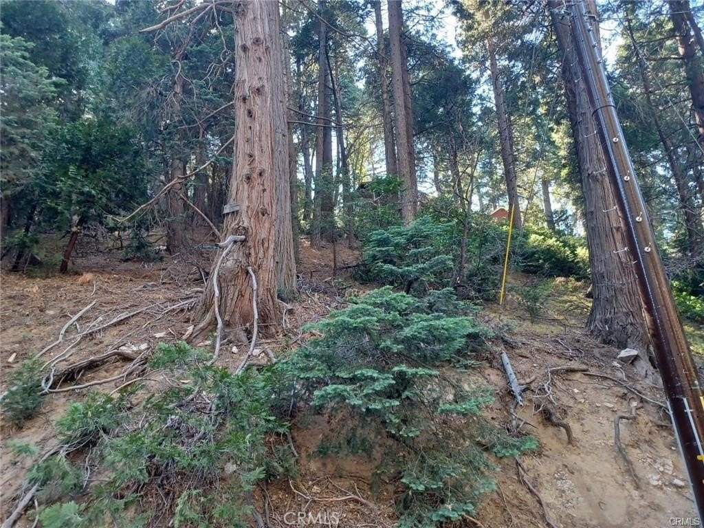 Picture 3