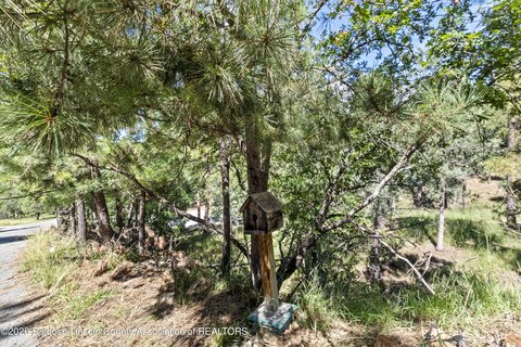 Land, Ruidoso, NM