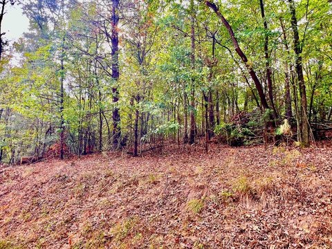Mountain Land Lot with Paved Access