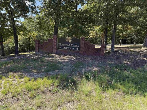 Vacant Land, Mountain View, AR