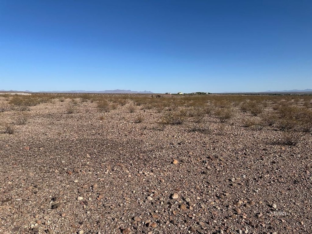 Picture 19