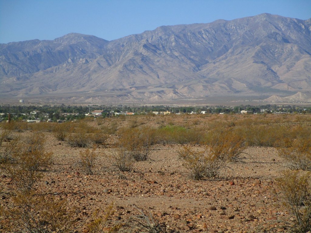Picture 15