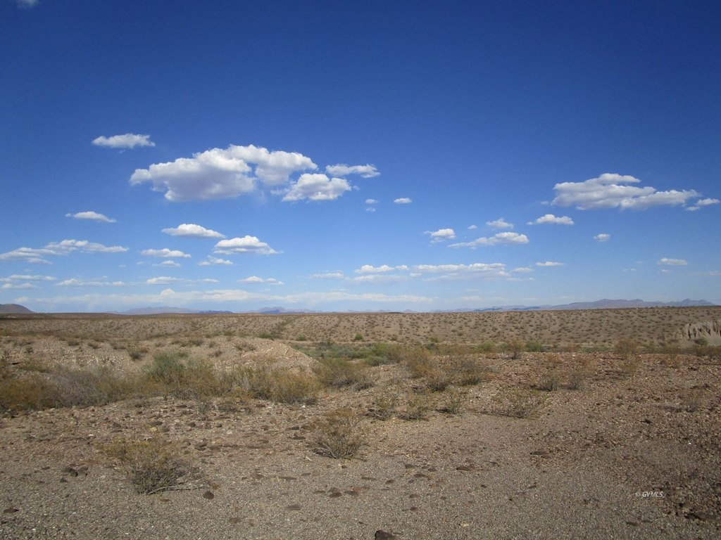 Picture 14