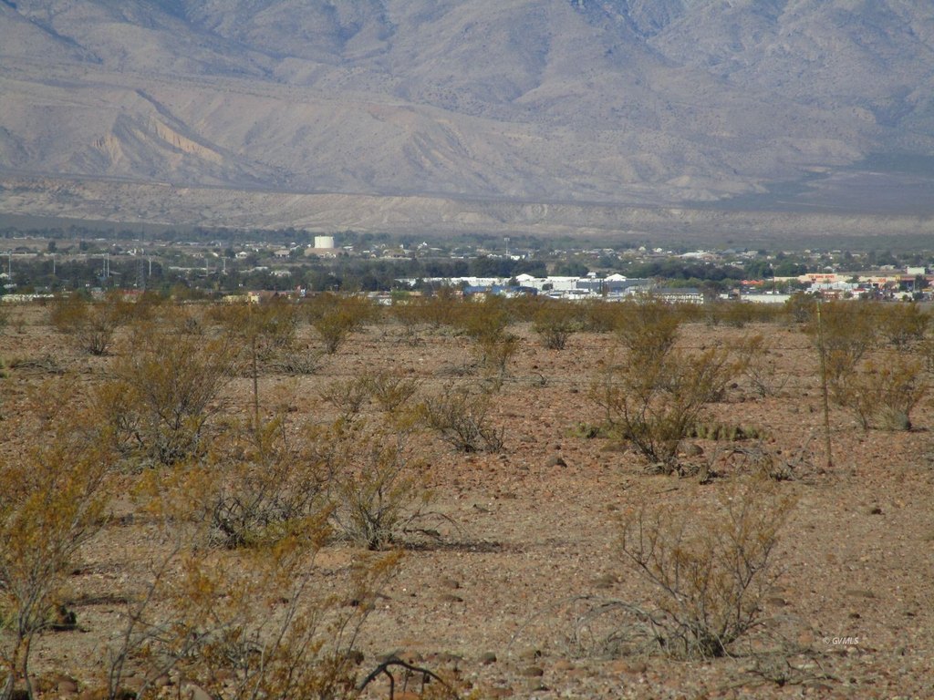 Picture 8