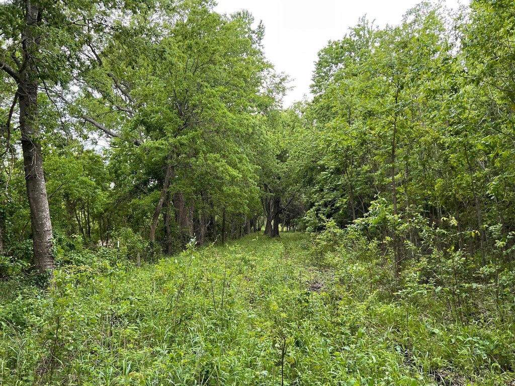 Picture 10