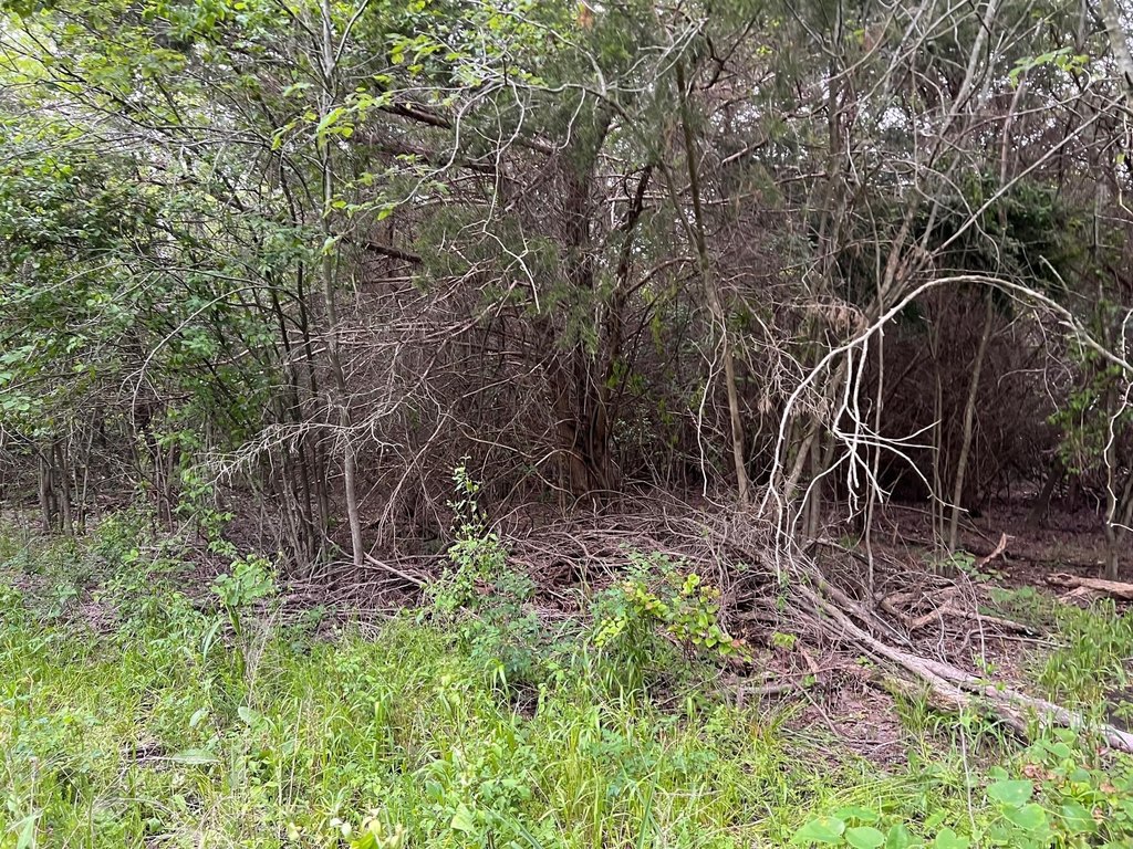 Picture 22