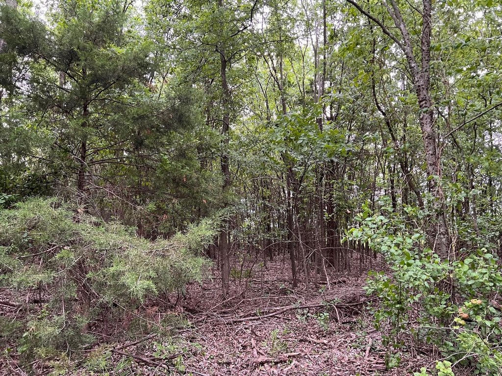 Picture 19