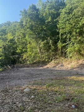 LAND - Delbarton, WV