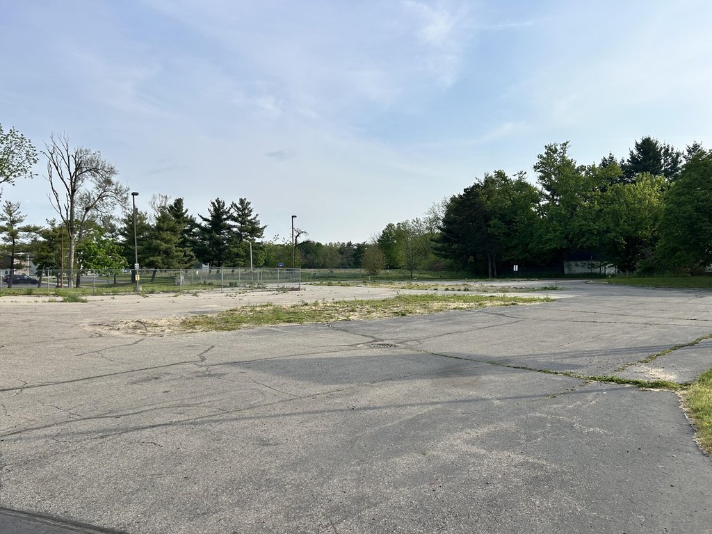 Picture 5