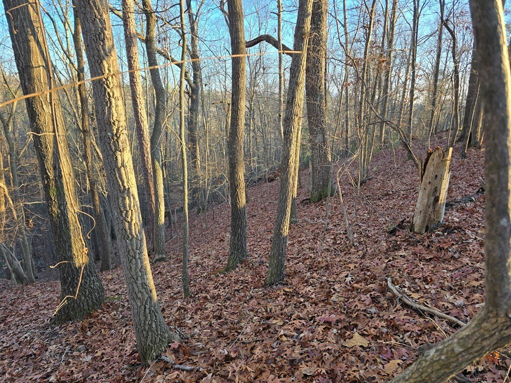 Picture 8